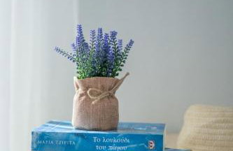 Blue Coast House - Foto 23