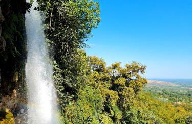 Ellie's Hospitality - Photo 24