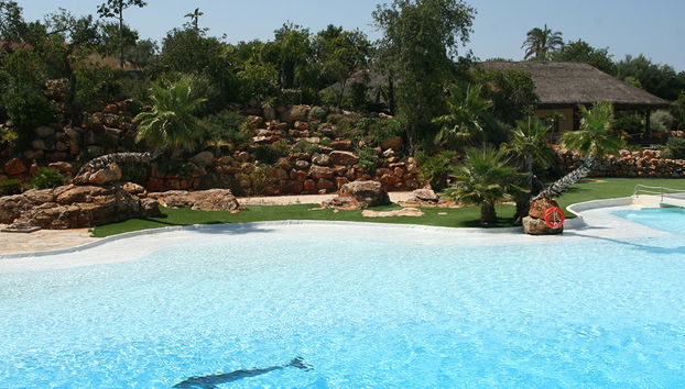 Zoomarine Emotions des dauphins - Expérience interactive - Photo 4