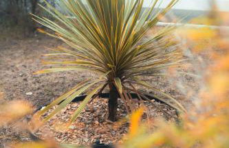 La Casa Néo - Foto 10