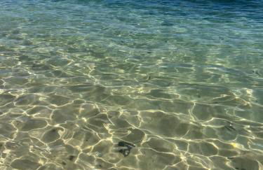 Casa Cactus Paraiso - Photo 37