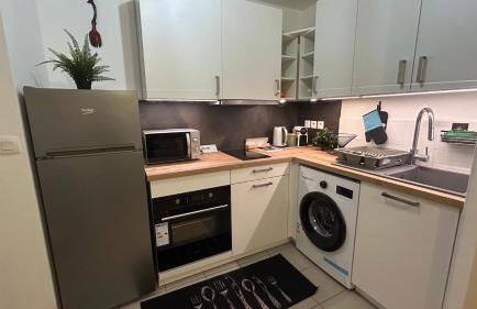 AGRÉABLE T2 -15 Min Airport Orly-Parking-Wifi - Foto 8