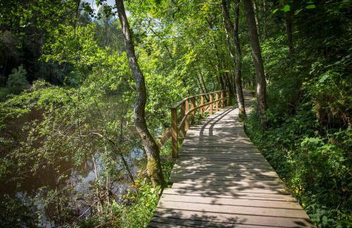 New Lanark Self Catering Waterhouses - Photo 39