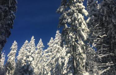 Le Joy - Murat le Quaire - 5 pers - Foto 28