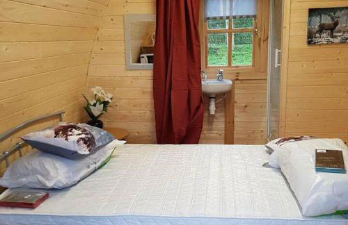 Glamping Pod in St Austell Sleeps 2 with Spa Pool - Foto 3