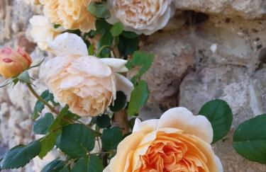 Casa romantica in un borgo antico in Sabina - Foto 48