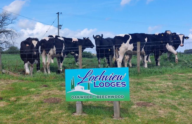 2 Bedroom Sleeps 4 Lodge-smart Tv-hot Tub-dogs Ok - Foto 29