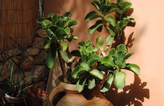 Cala Sinzias beach house with stunning views - Foto 28