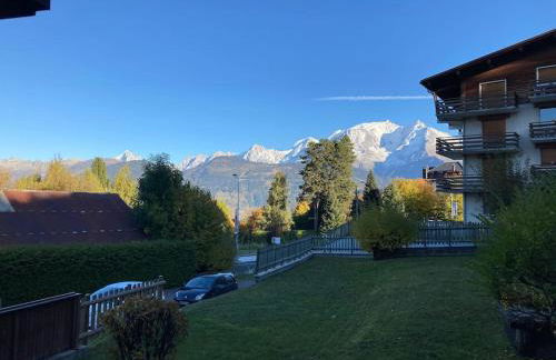 La marmotte: Vue Mont Blanc, terrasse, parking - Foto 17