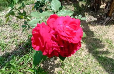 Refúgio Atlântico - Foto 63