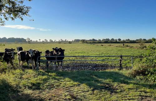 Charmantes Butzen-Nest am Radweg - Foto 19