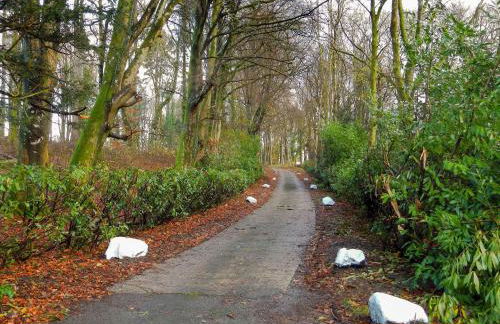 Machermore Castle - Foto 19