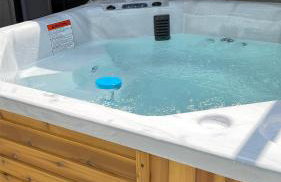 Tampa Zen Escape | Heated Pool + Family Oasis - Foto 41