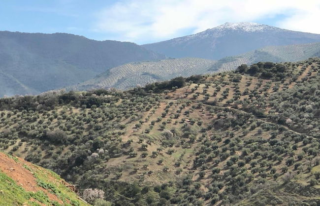 Casa de la Cañada - Foto 61