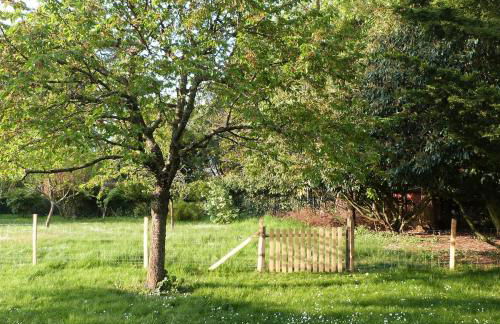 Country house for animals and nature lovers - Photo 12