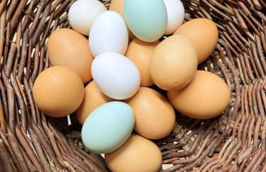 Locanda di Federico - Foto 16