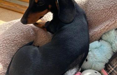 High Tide Lodge - Foto 49