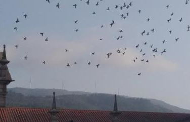 Casa do Sol - Foto 19