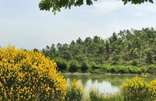 Borgo Poggio Bianco - Photo 29