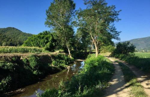 Holiday Home in Citerna Near Castello Bufalini - Foto 58