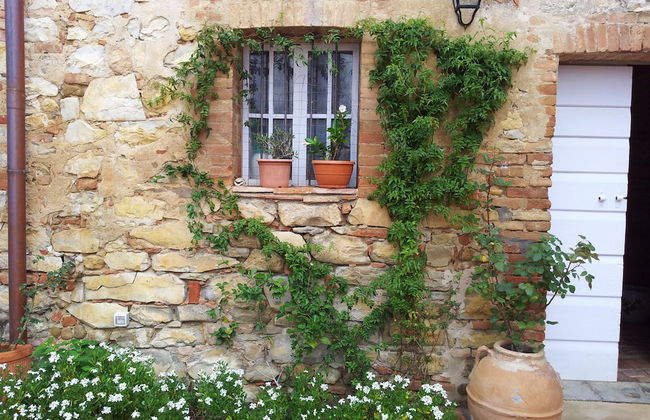 Podere San Quirico - Foto 41