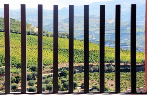 Quinta da Pitarrela - Foto 12