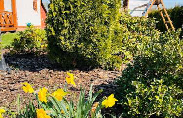 Sielanka Chwaliszów dom całoroczny - Foto 9