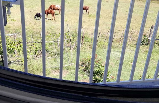 Villas Don Pablo - Foto 10