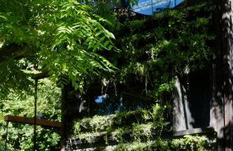 Zero Zero Treehouse - Foto 9