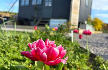 The Winford Retreat - Foto 64