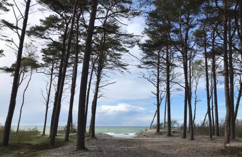 Domki Podniebo - Foto 69