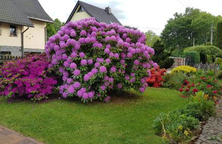 Haus Ingrid Ferienwohnung Vintage - Foto 2