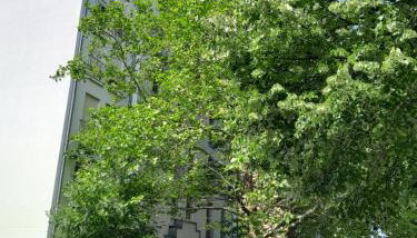 Appartement Denis - Foto 3