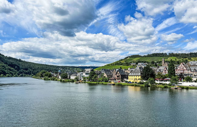 Apartment in Traben-Trarbach - Photo 28