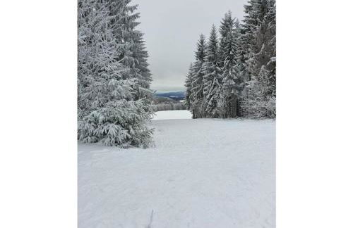 Terraced house Amann Comfortable holiday residence - Foto 32