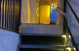 Atico Dos Alturas Alicante - Photo 36