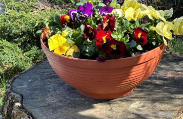 Dom Pod Dębem Agroturystyka - Foto 23