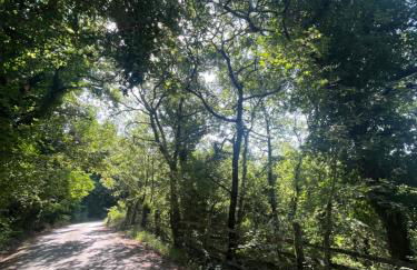 Le case di Anita in Toscana - Arezzo - Foto 54