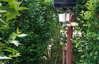 Seaside holiday house Mali Iz (Iz) - 17536 - Foto 9