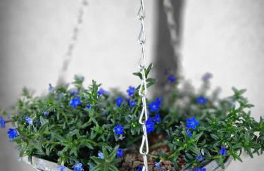 Ferienhaus Reschwitzer Auszeit - Foto 18