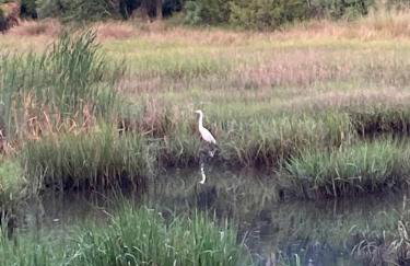 Tranquil Glamping near the Coast: Charming Rustic Cabin Rental in Midway, Georgia - Foto 9
