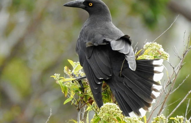 Lumera Chalets - Photo 11