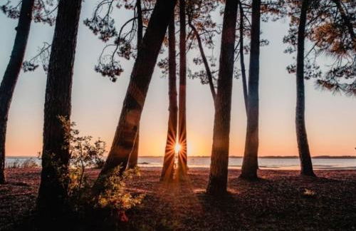 Appartement Villa Trencat - Foto 17