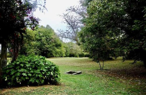 Casale Pomodoro - Foto 10