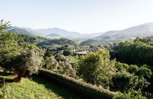 Il Gufo e l' Allodola - Foto 30