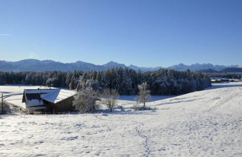 Langegger Alm - Sennerstube - Foto 22