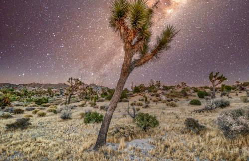 Twin Palms Desert Getaway - Jacuzzi, Fire pit, Meditation room & more - Foto 53