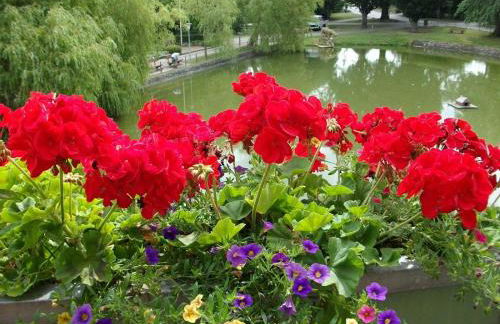 Ferienwohnung-Dorette-in-Stakendorf - Foto 15