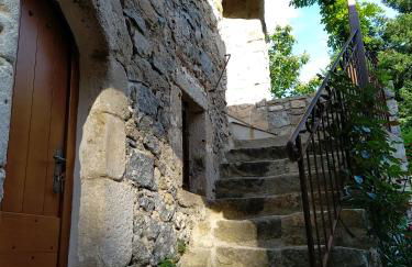 Les Châtaigniers Gîtes du Mas Haut - Foto 5