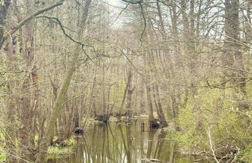 A Wooden, Eco-friendly House by the Goszcza Lake. Living Room, 2 Bedrooms - Foto 55